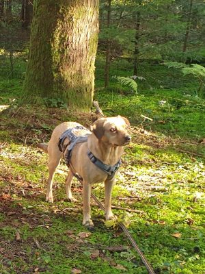 Misha_Wald-r1qdb91y3zoa3xpr1klcq3aqtu3hi5y7km8gx78n8g