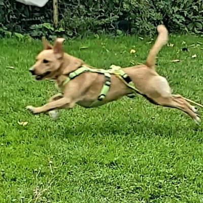 Nala3-qv5rjdus1zl5yo1qkn2xlke0tkqbbo674i08kh6f8g