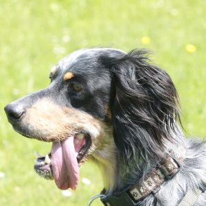 Nelson_b-r676omv5jpcetghukk3l531asew2wfjepejcss6iew