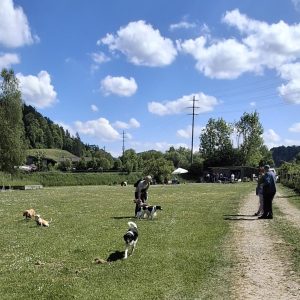 Ubersicht_11-r676pbayhe9v7biclunvxwva8fjmgk8fgrhz9z69x4